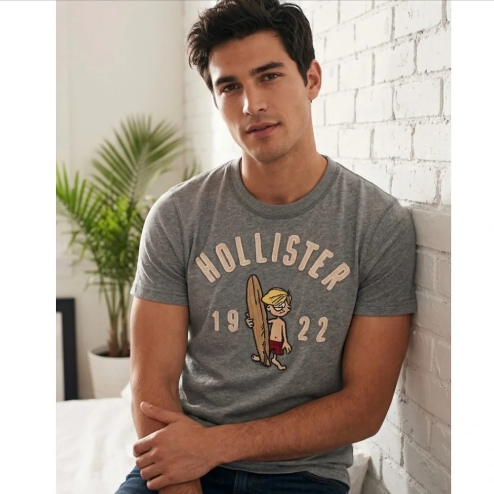Vintage Y2K Hollister Embroidered Surfer Man Tee Gray